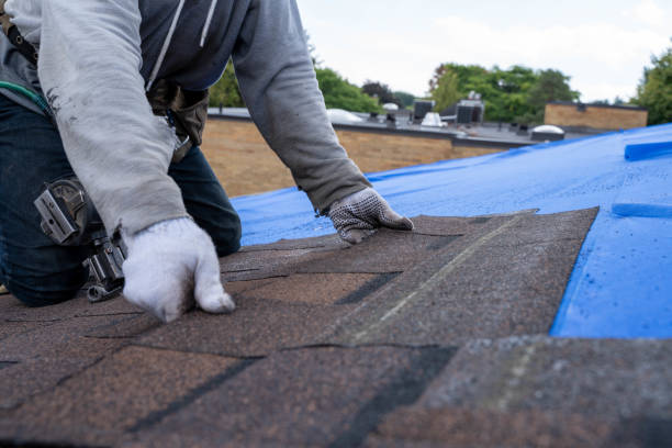 Best Roof Maintenance Services  in Velva, ND