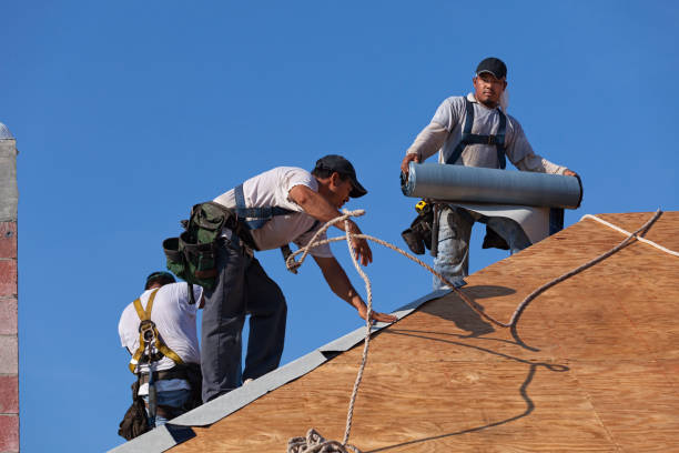Best Emergency Roof Repair  in Velva, ND