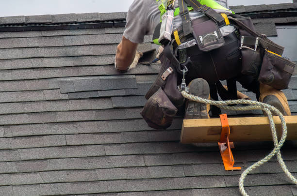 Best Residential Roofing Contractor  in Velva, ND