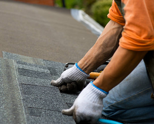 Best Shingle Roofing Installation  in Velva, ND