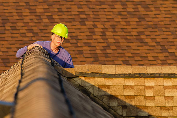 Best New Roof Installation  in Velva, ND